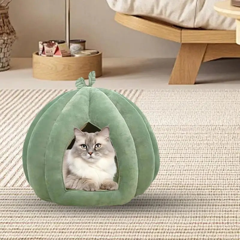 Lits pour chat épaissi fermé maison pour chat pour animaux de compagnie lit citrouille chat cachette fournitures d'hiver pour chatons petits chiens animaux de compagnie