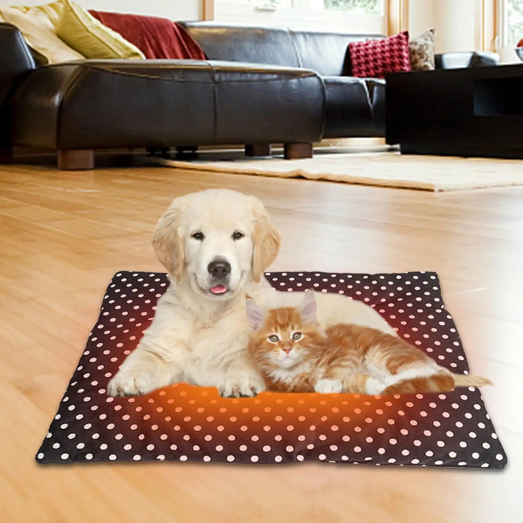 Coussin chauffant électrique pour animal de compagnie, lit en polymère chaud, température intérieure réglable, 3 vitesses, USB, chiens, chats, chiots